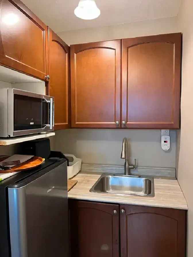 ALL INCLUSIVE - Bachelor Studio / Condo in Etobicoke - FOR RENT