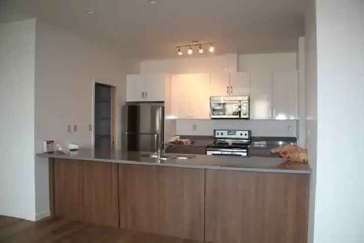 Rent Loft Apartment Overlooking 124 Street with Balcony and AC