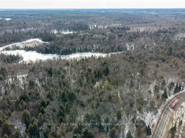 Muskoka Lot for Sale - Build Your Dream Home