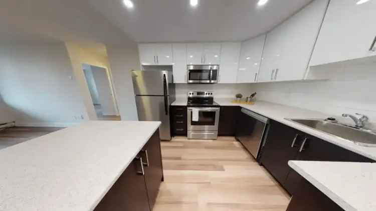 Rent Apartment in Mississauga with Luxury Amenities and Pet Friendly Suites