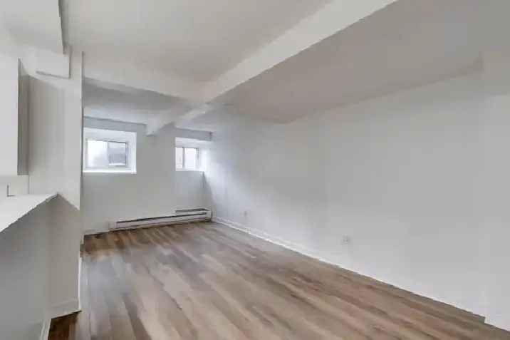 WOW! Spacieux loft avec cachet! Parking!