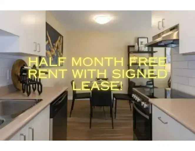 Newly Renovated Suites & Studios - Half Month Free Rent