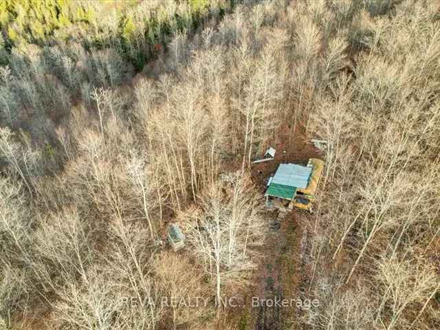 10 Acre Forested Building Lot Buckshot Lake Road Vennachar