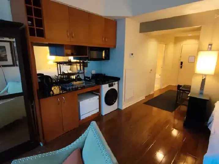 Downtown Furnished Suites with Lake Views King Subway Station