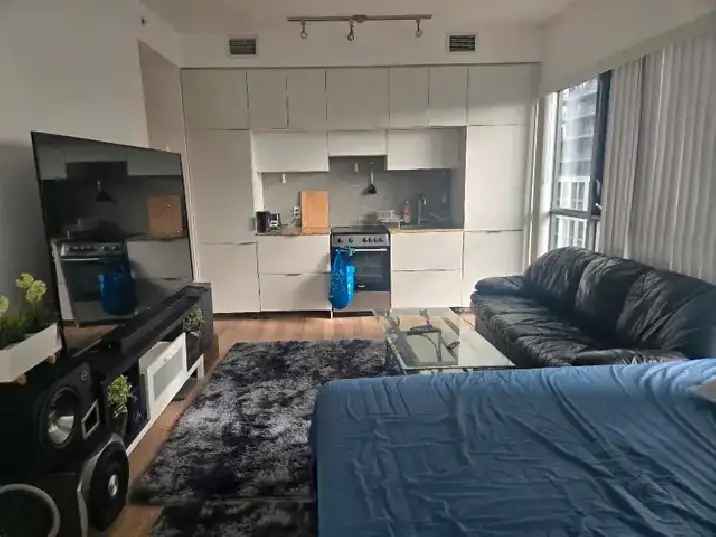 Spacious 2-Bedroom Downtown Toronto Condo Near UofT