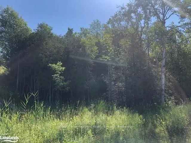 1 Acre Treed Building Lot Near Trails