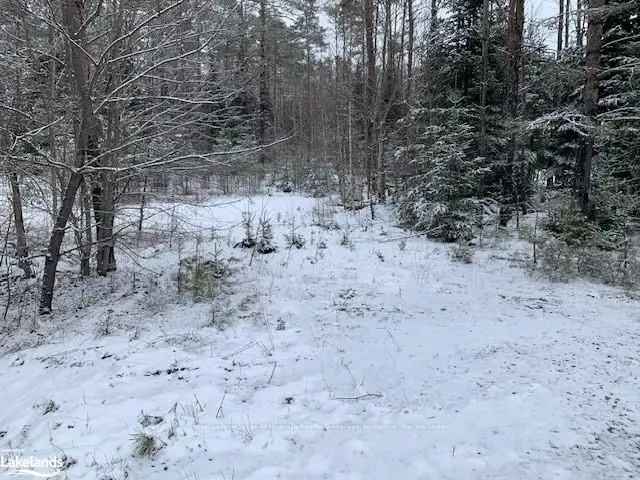 2+ Acre Lot Near Huntsville - Perfect for Year-Round Home or Weekend Retreat