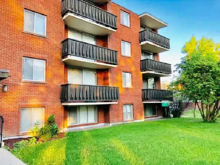 Bright and large 2 bed. suite in Kensington, close to LRT