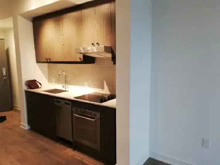 New 1 1 condo at  Bathurst St/ Wellington St,  Available now