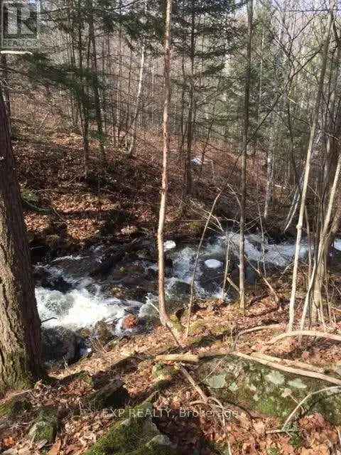 1.275 Acre Rural Lot with River Access Near Calabogie