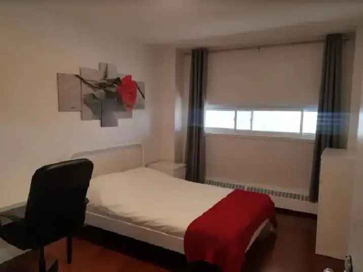 NOW - Big nice furnished room in condo near York U and subway