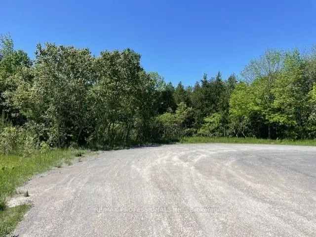 Country Living on 0.85-Acre Lot Near Warkworth