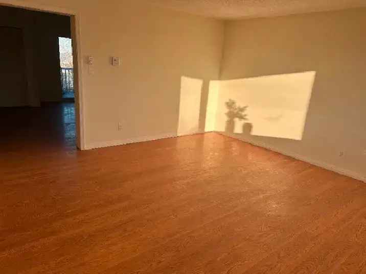 Rent Large Beautiful Apartment in Uptown with Great Views