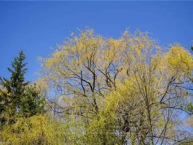 Land For Sale in Meaford, Ontario