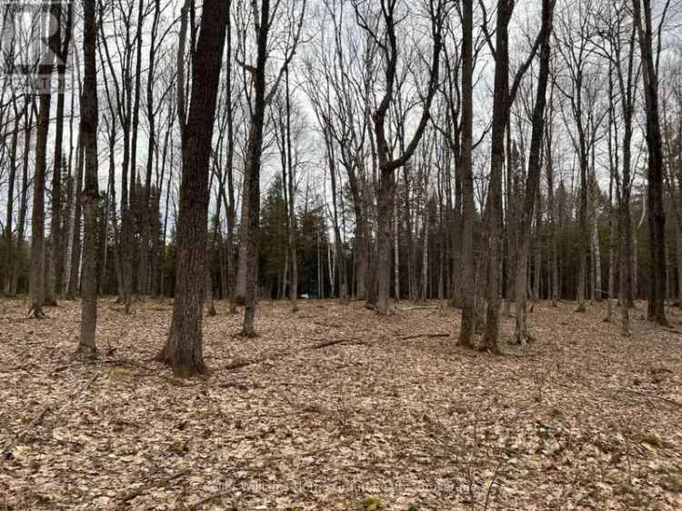 Waterfront Building Lot Paradise 7 Acres Semi Private Lake