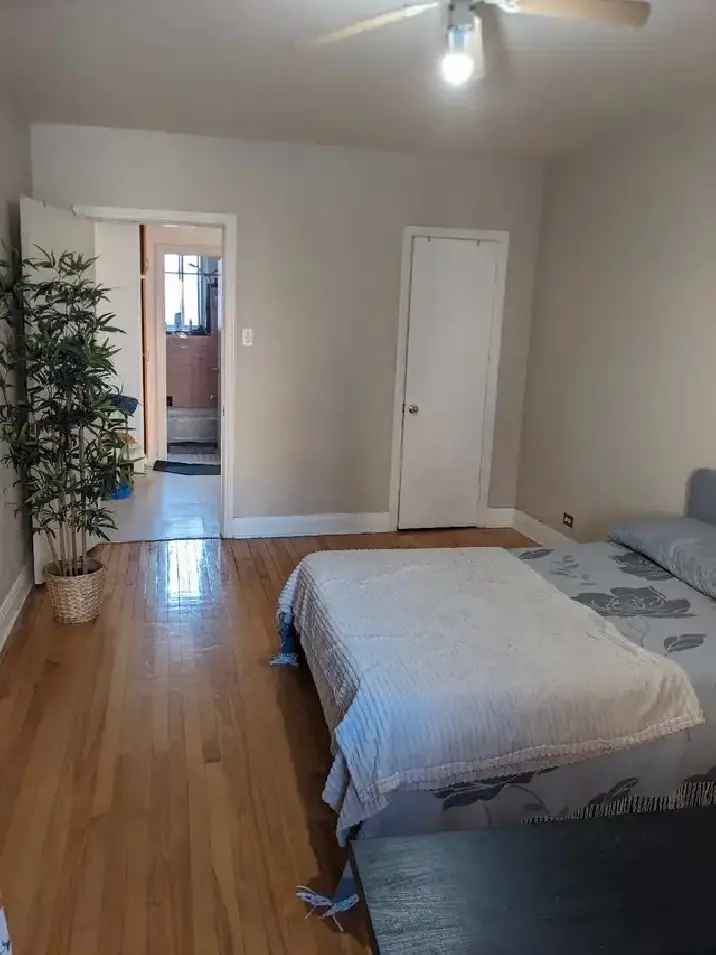 One Bedroom Apartment Near McGill University - Furnished