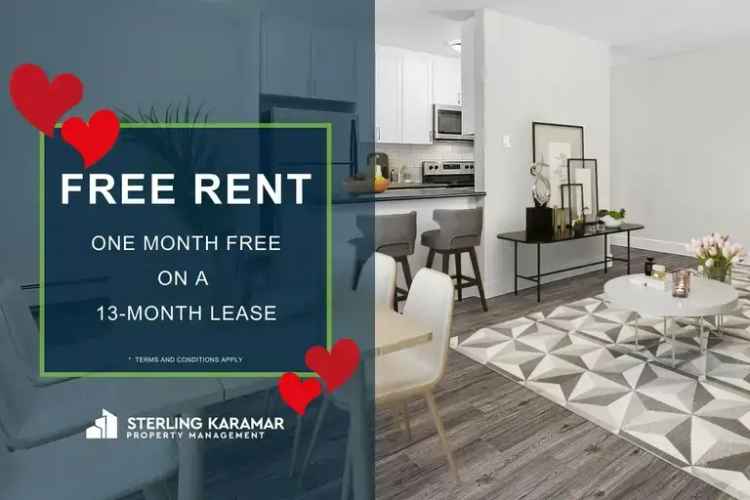 Rent Condo Style Apartment in Toronto with Modern Amenities