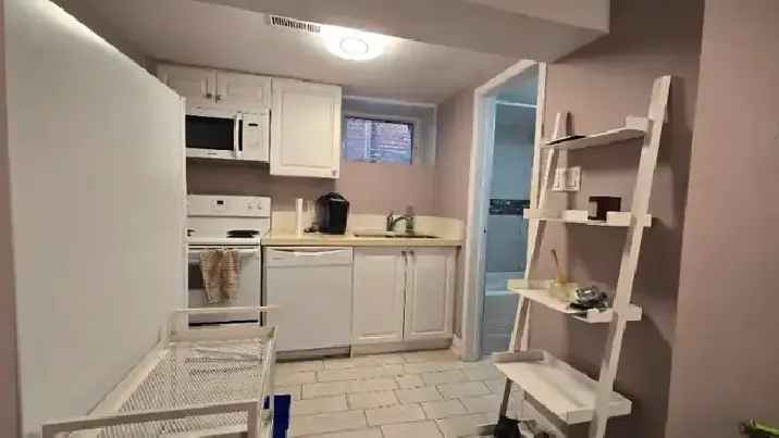 1BR Basement Apartment Little Italy Toronto - Near U of T