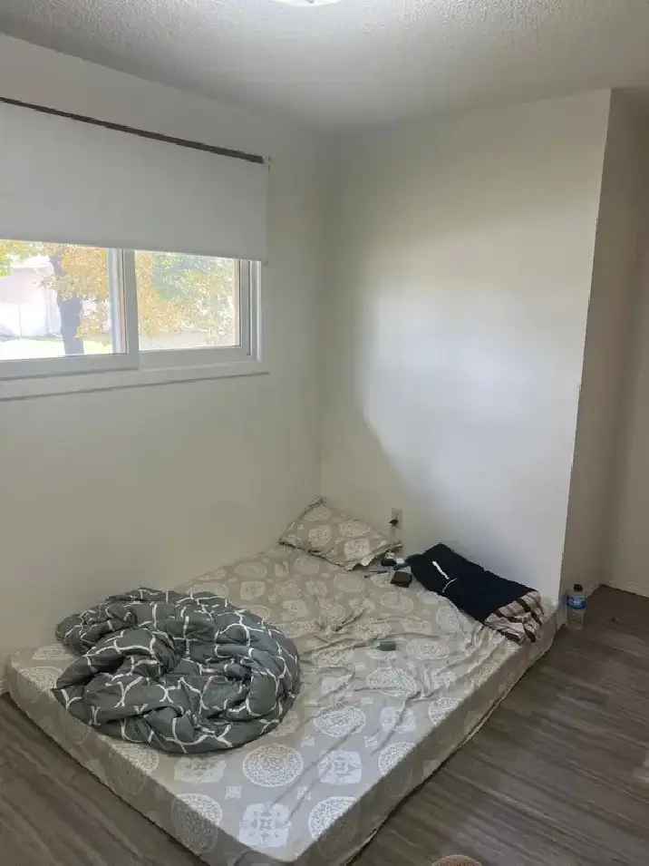 Room for rent