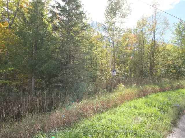 Great Building Lot on Bruce Peninsula