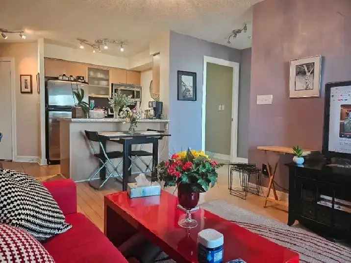 Furnished luxury 2 bedroom 2 bathroom Condo