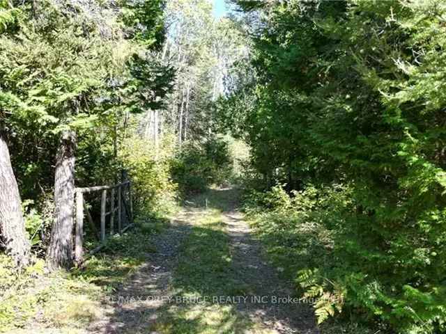 25 Acres Wooded Property w Cabin Septic Well Shared Pond