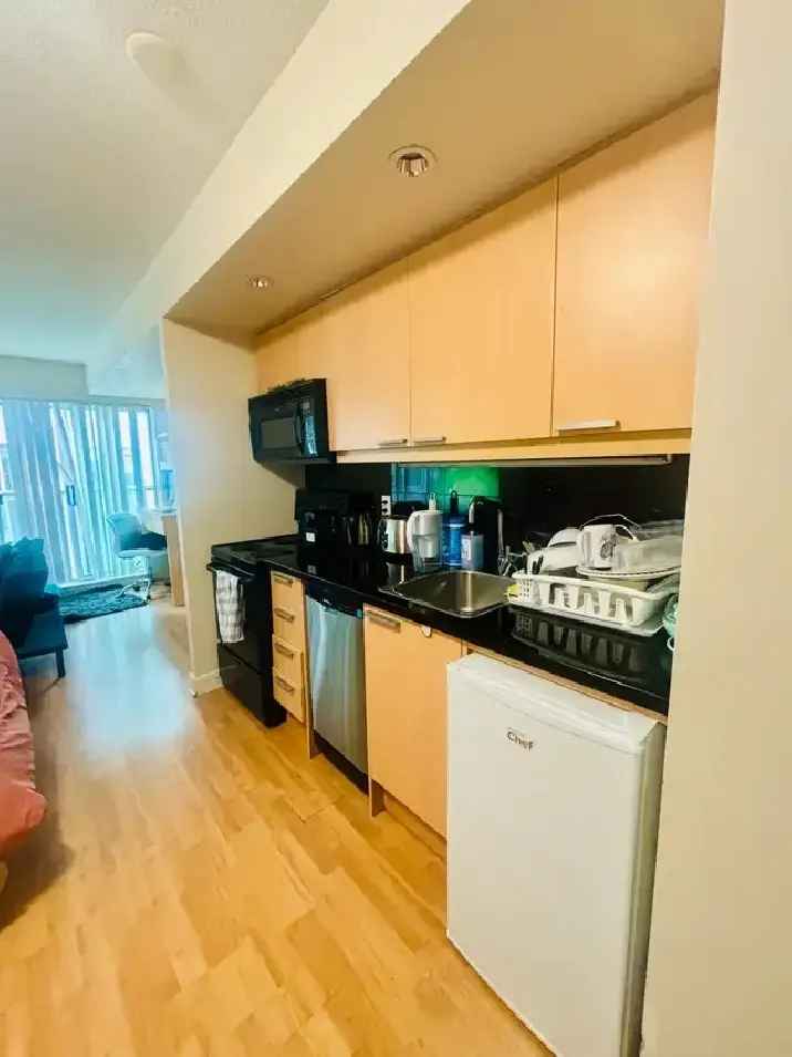 Furnished Studio Condo for Monthly Rent