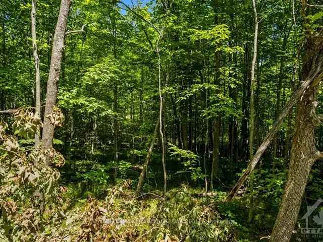 4-Acre Countryside Lot Near Sharbot Lake - Build Your Dream Home