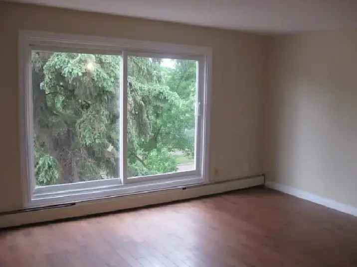 2 Bedroom, Fully Renovated, Close to U Of A, Whyte AveSouth Side