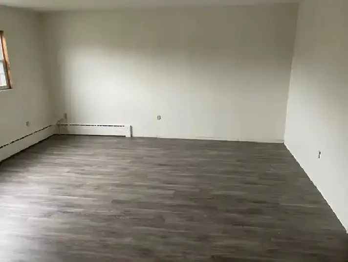 January 1  Young Street 1 Bedroom Basement Apt All Utilities Inc