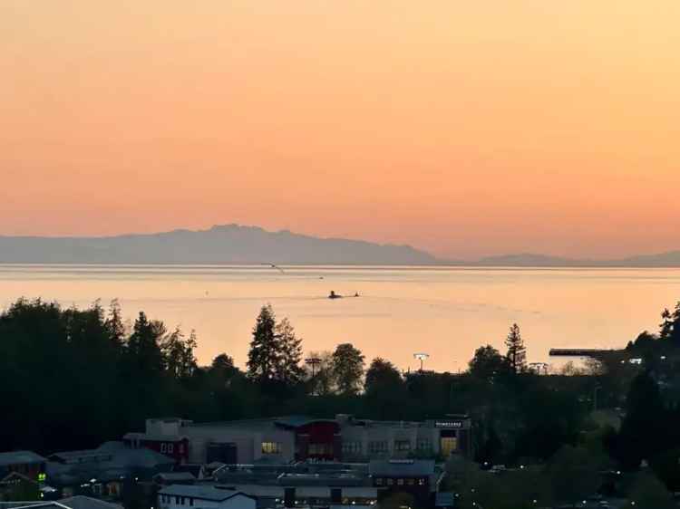 Spectacular 180 Degree Views 2 Bed 2 Bath Suite