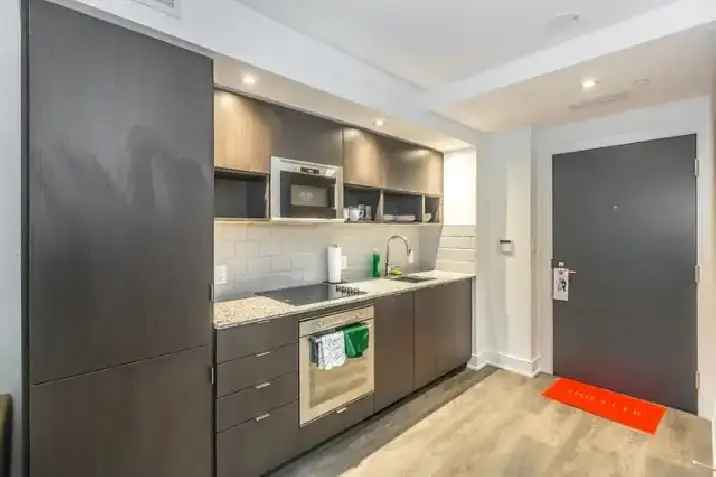 Furnished one-bedroom condo, Yonge-Gerrard, TMU, Jan 1