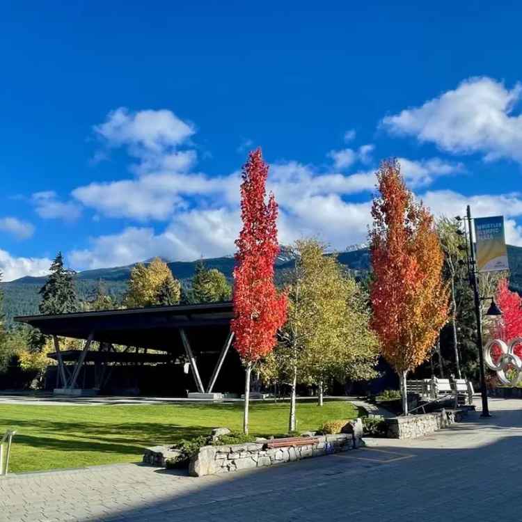 Whistler Ski Week Timeshare Condo for Sale