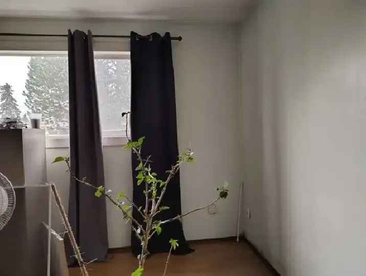 Free WiFi 3 bedroom House for rent