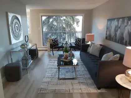 1 room apartment of 74 m² in Edmonton