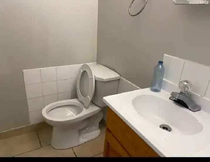 Basement Master Bedroom for Male Tenant - Private Bathroom - Utilities Included