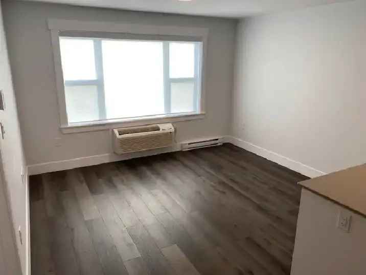 Rent Brand New 1 Bedroom Apartment Next to UNB in Fredericton