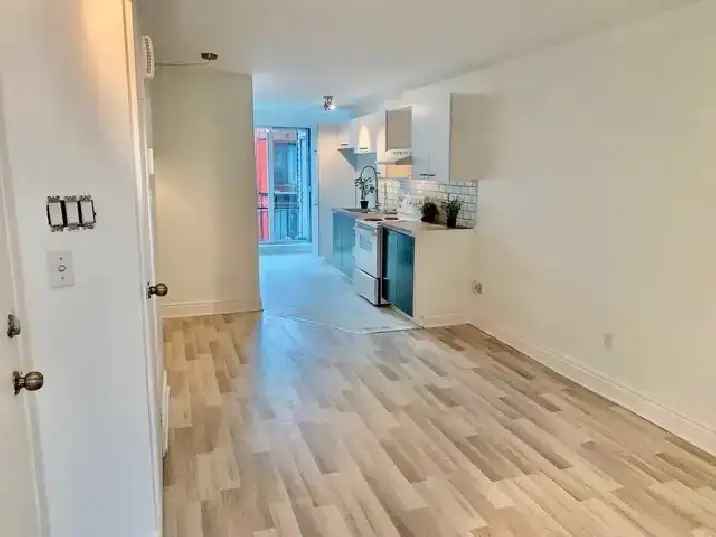 Renovated 3 1/2 Apartment in Vieux-Rosemont