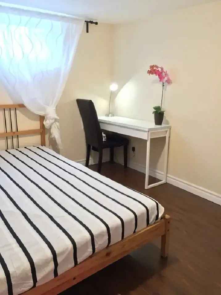 Rent semi-basement room for female students near Dufferin Eglinton