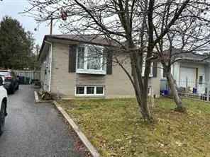 South Side Lot Yonge St Dream Home Builder Renovator