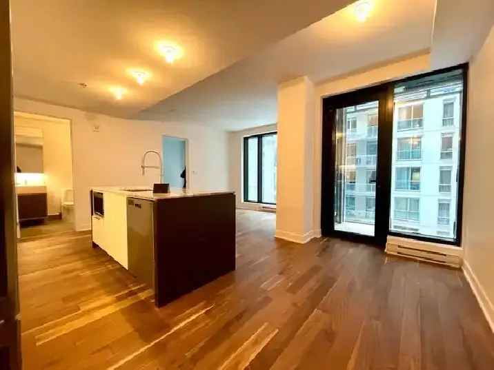 Rent Beautiful New 3 1 2 Condo Downtown Metro Peel with Modern Features