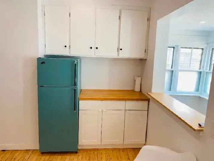 Rent 1 Bedroom Apartment Downtown with Utilities Included