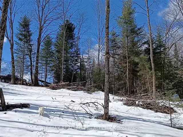 Haliburton Ontario Vacant Lot 1.37 Acres Custom Home Cottage