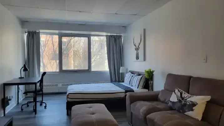 Furnished Studio for Rent in Downtown Montreal with High Speed Internet