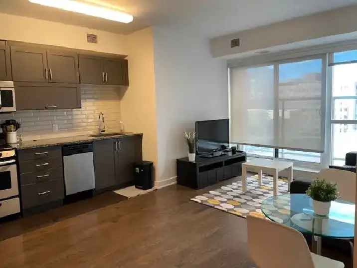 Luxury  furnished condo in Tribeca East with short-term option