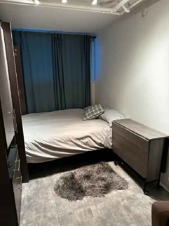 Fully Furnished Renovated Apartment Near CEGEP Rosemont