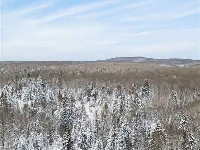 Land For Sale in Highlands East, Ontario