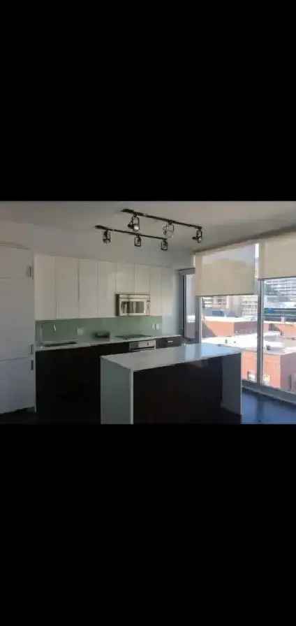 Prime location beautiful downtown 1 bedroom