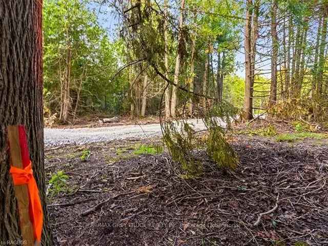 Residential Building Lot In Tobermory - Near Little Tub