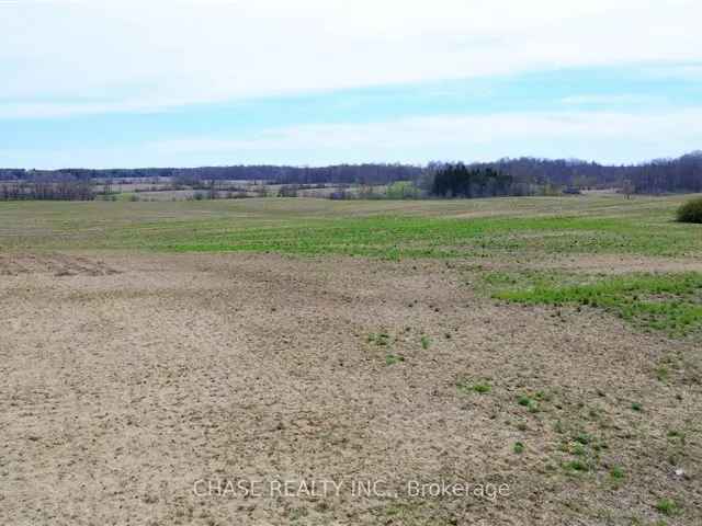 40 Acre Building Lot Nature and City Blend